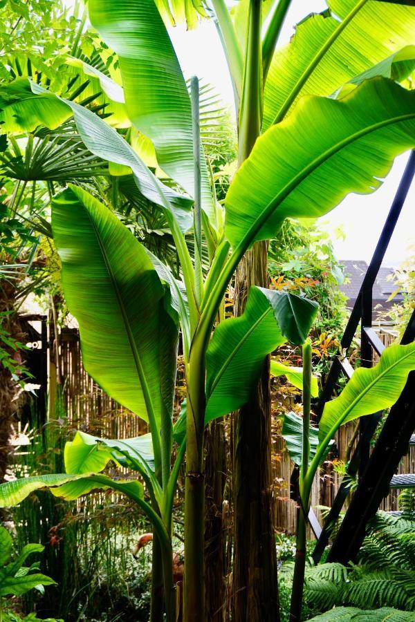 Jungle Stay In A Hidden Paradise Zwijndrecht Kültér fotó