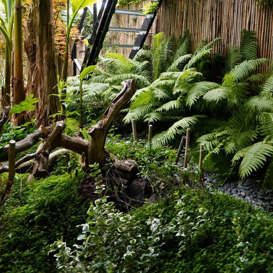 Jungle Stay In A Hidden Paradise Zwijndrecht Kültér fotó