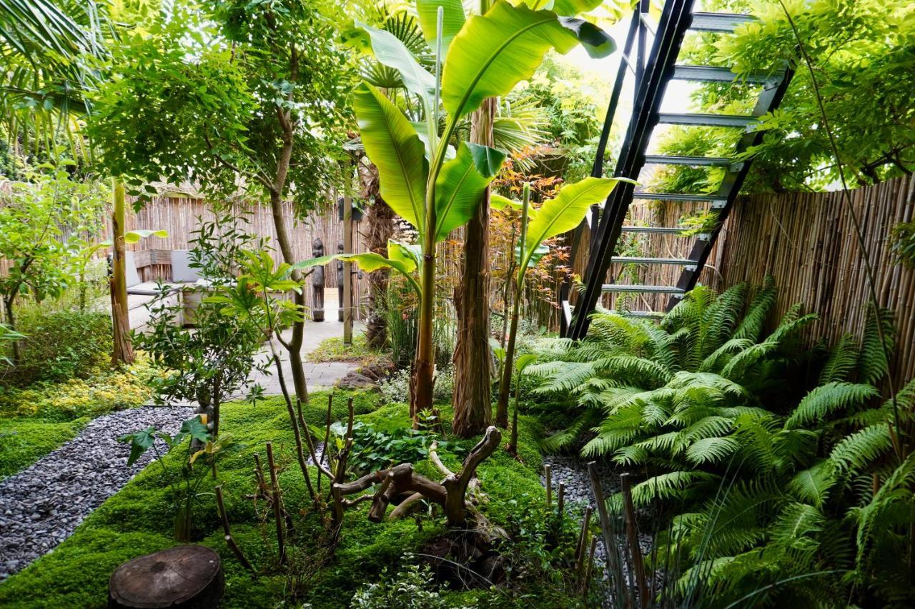 Jungle Stay In A Hidden Paradise Zwijndrecht Kültér fotó